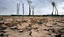 天灾·人祸·失去