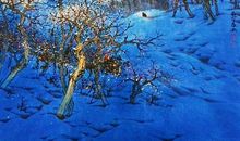 在心中安放一抹灿烂