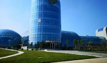 我所经历的研学