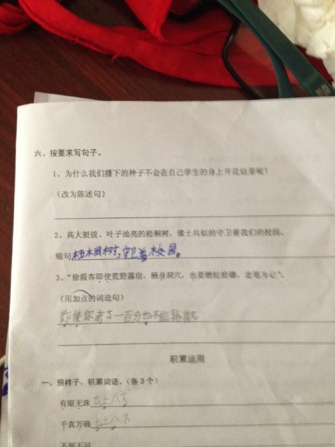 我的答案