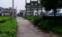 电线杆，水泥路