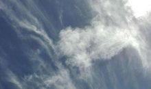 那声音在我耳边想起