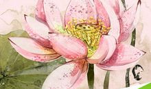 埋在记忆深处的瞬间