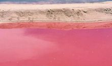 心中的一片海滩