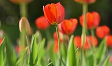 有你相伴，我的世界春暖花开