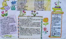 奇怪的包裹读后感