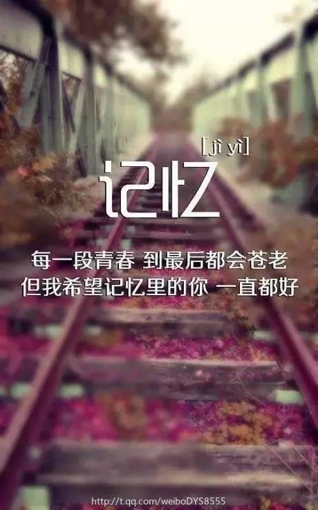 失散已久的吻感动了我的心