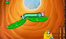 青虫给我的启示