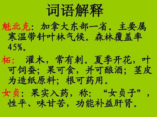 山谷中的奥秘