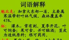 山谷中的谜底读后感