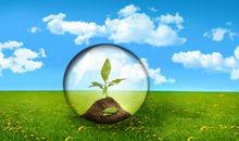 一株幼苗的启示