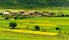 美丽的农庄风光