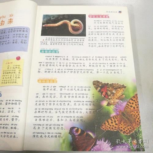 看完《变种人》之后