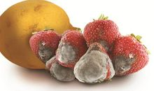 为什么食物会变色