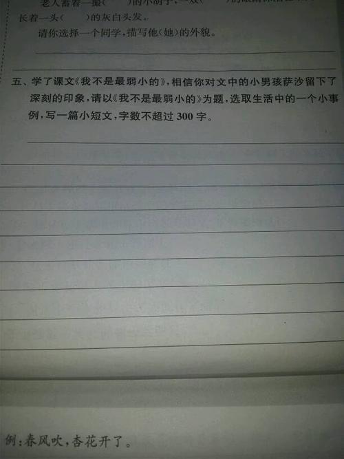 我不是最弱的人