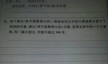 我不是最弱小的作文