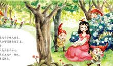 我和小精灵的故事