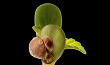 从未这样注视过你