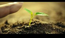 我的希望漂流瓶