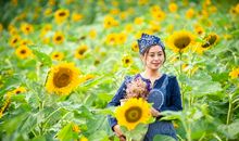 我懂得了幸福的含义