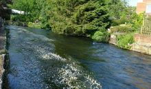 走在塘河边的小路上