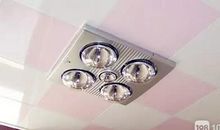 我们家的新鲜事