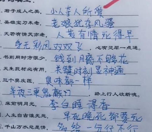 精彩的作业