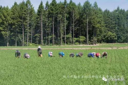 我爱家乡的味道