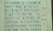 小精灵来了作文