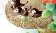 狼和小鸟的故事