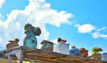 这个秋天，我成长了