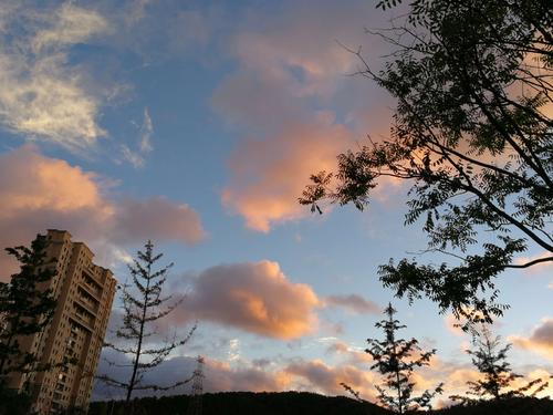 暴风雨后的增长