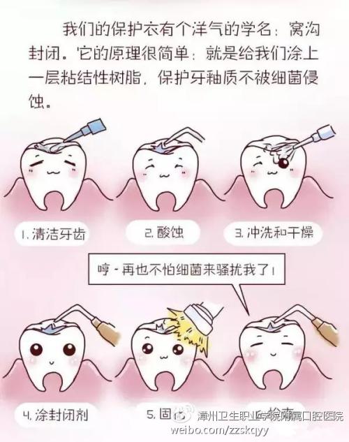 牙齿的叙述