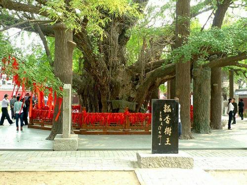 我会告诉你我的家乡