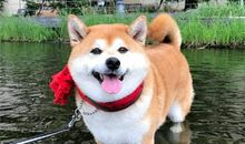 想看见你们的笑