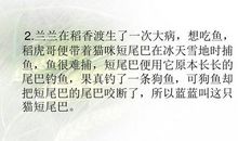 《枫林渡》读后感