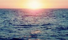 这次我们胜利了