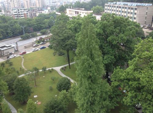探索“雅林学院”