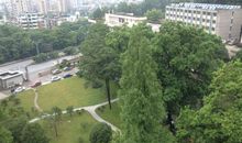 “亚林所”探秘