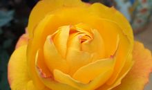 平平淡淡也是年