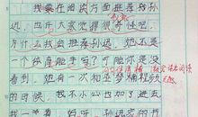 四年级雏鹰争章作文