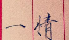 情不知所起一往而深