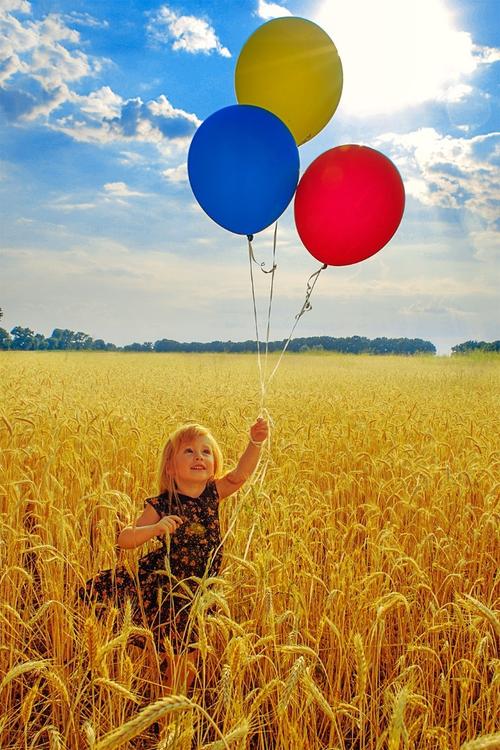 很高兴再次见到麦田