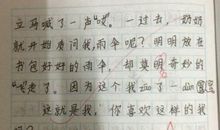 关于默写的作文