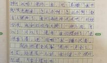 我与蚊子的较量作文