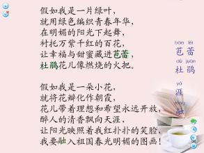 如果我是种子