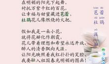 假如我是一颗种子