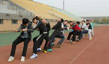 齐心协力拔河比赛