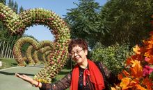 这个秋天我遇见了您