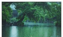 稻香悄悄唤醒我